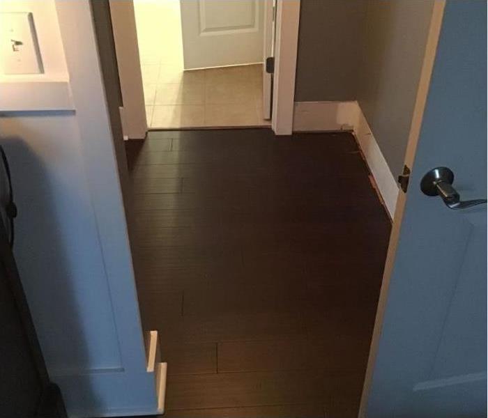 Hallway area with dried out dark hardwood floor
