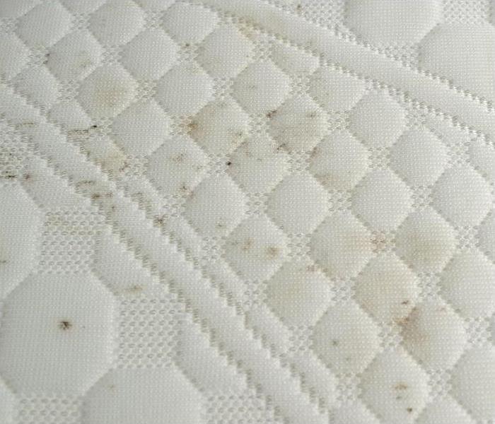 a white mattress showing signs of water damage from a recent storm